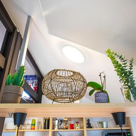 Boho House 3 Camp Terme Catez With Promotional Tickets Prices Chalet *